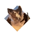 Dune: Awakening